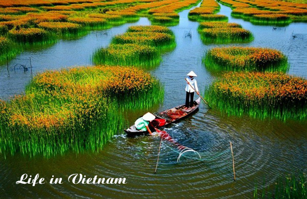 Type of Vietnam visa for the USA 4