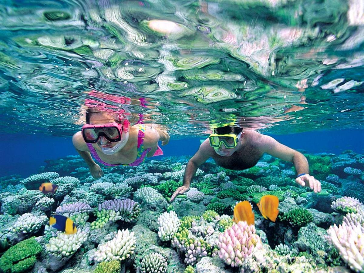 Scuba-diving-and-snorkeling
