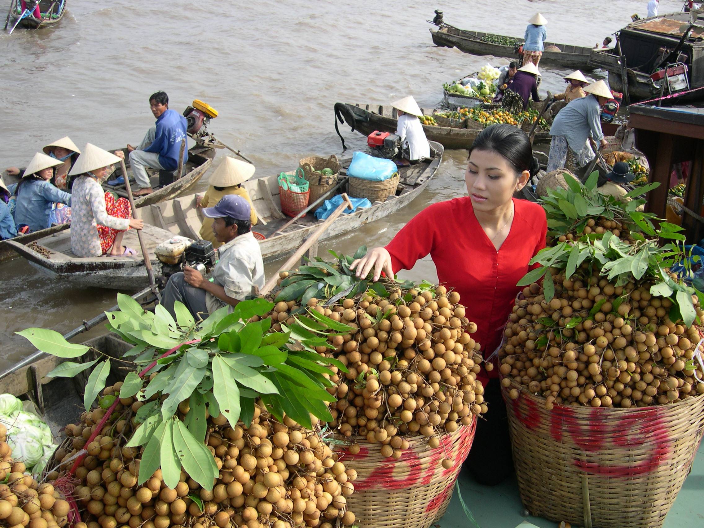 Apply for Vietnam visa online to ​visit 5 Floating Markets in Mekong