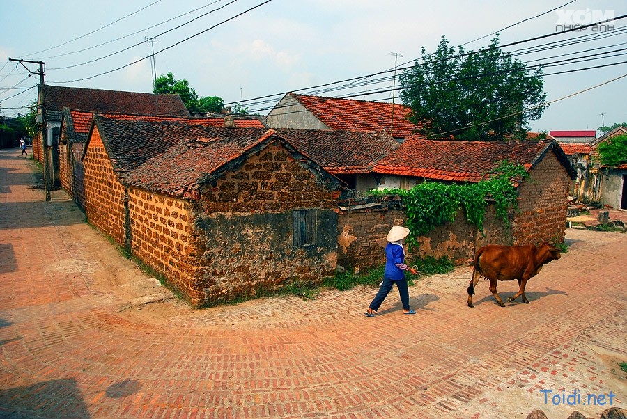 Duong-Lam-village