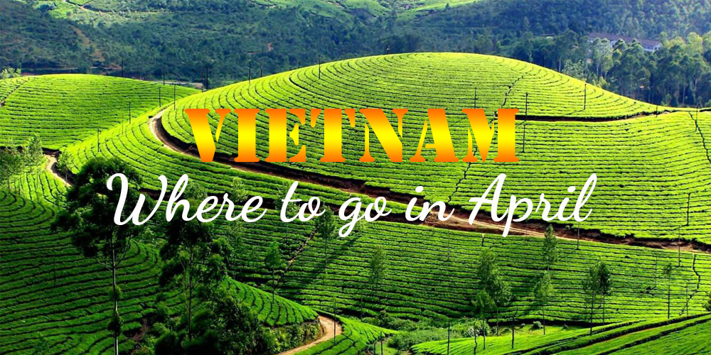 Are you ready for the exciting summer with the hottest April destinations in Vietnam?