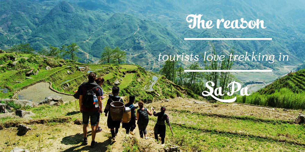 The reason tourists love trekking in Sa Pa